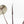 Anthurium Zara '33' x Zara '29' by DocBlock® (wk20-T)