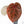 Anthurium Zara '33' x Zara '29' by DocBlock® (wk23-M)