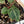 Variegated Anthurium Zara '3' x Darth Vader '73' by DocBlock (wk41-U168)