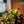 Vita™ Grow Light