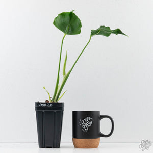 Monstera Deliciosa 'Unniiae' (wk42-U177)