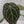 9043 Anthurium Tortoise Shell Grey ‘36’ x Black Widow ‘13’