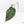 Anthurium Zara '29' x Dark and Handsome '9' by DocBlock® (wk20-V)