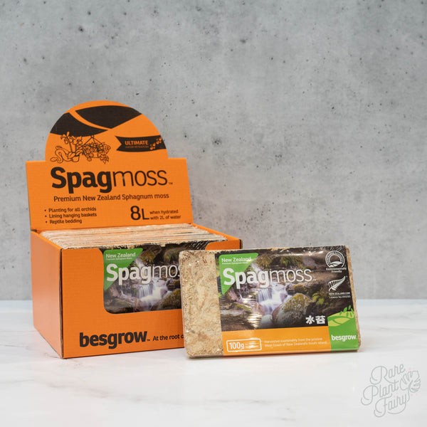 Besgrow Spagmoss 100g compressed brick of sphagnum moss