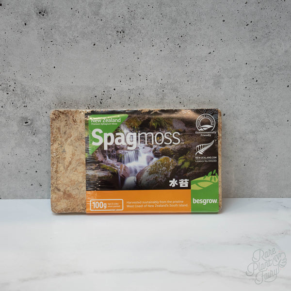 Besgrow Spagmoss 100g compressed brick of sphagnum moss